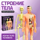 УЦЕНКА (мятая упаковка) Научный опыт «Строение тела» - Фото 1