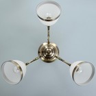 Люстра «Мадлен» 3×40 Вт E27 античная бронза 40×40×50 см - Фото 4