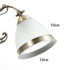 Люстра «Мадлен» 3×40 Вт E27 античная бронза 40×40×50 см - Фото 6