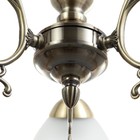 Люстра «Мадлен» 3×40 Вт E27 античная бронза 40×40×50 см - Фото 8