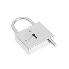 Замок висячий контрольный ВС-5 цинк , 10 шт (комплект 10 шт) - фото 24310178