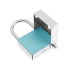 Замок висячий контрольный ВС-5 цинк , 10 шт (комплект 10 шт) - фото 24310180