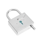 Замок висячий контрольный ВС-5 цинк , 10 шт (комплект 10 шт) - фото 24310183