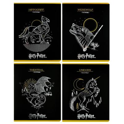 Тетрадь 48 листов в клетку «Гарри Поттер», обложка мелованный картон, тиснение фольгой, МИКС