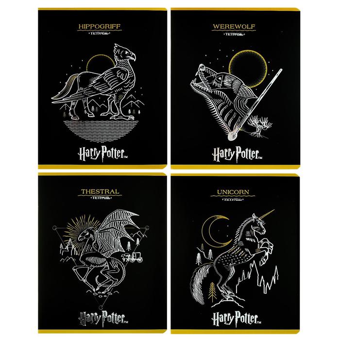 Тетрадь 48 листов в клетку «Гарри Поттер», обложка мелованный картон, тиснение фольгой, МИКС - Фото 1