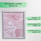 Фоторамка сосна с19 серебро 20х25 см (пластиковый экран) - фото 318191799