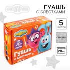 Гуашь 5 цветов + 1 цвет с блёстками (серебро) по 20 мл, «Смешарики», карамельная - Фото 1