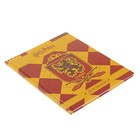 Дневник 40 листов, твёрдая обложка, "Гарри Поттер", глянцевая ламинация - Фото 2