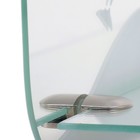 Зеркало «Дельфин», с пескоструйной графикой, настенное, с полочкой, 53,5×70 см - Фото 3