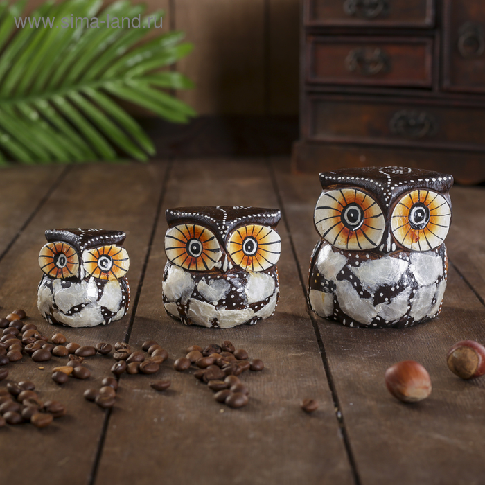 Сувенирный набор «Совы Облака», 6×19×8 см, дерево