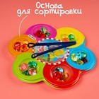 Сортер «Сокровища пиратов», по методике Монтессори, 6 цветов, с пинцетом, 3+ - Фото 2