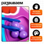 Сортер на 8 цветов «Весёлые бусинки», 40 бусин, пинцет, по методике Монтессори, 3+ - Фото 2