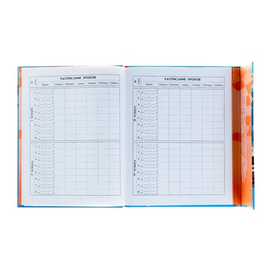 Дневник для 1-11 классов «Спорткар», твёрдая обложка, глянцевая ламинация, тиснение фольгой, магнитный клапан, 48 листов