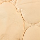 Одеяло "Верблюжья шерсть" микрофибра, размер 110х140 см, 150гр/м2 - Фото 2