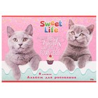 Альбом для рисования А4, 8 листов «Очаровательные котики с кексиком», бумажная обложка - Фото 1