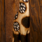 Сувенир дерево "Жираф с полосатыми ногами" 14х22х150 см - Фото 6