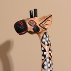 Сувенир дерево "Жираф с ромбами" 16х25х150 см - Фото 2