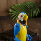 Сувенир «Попугай», висячие лапки, 4.5×9×24 см, дерево - фото 53668230