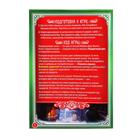 Квест-книга игра «Фабрика Деда Мороза», 18 страниц - Фото 3