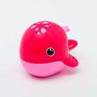 Брызгалка для ванны «Кит», цвет МИКС - фото 20934667