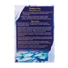 Квест-книга игра «Побег из Снежного царства», 18 страниц - Фото 3