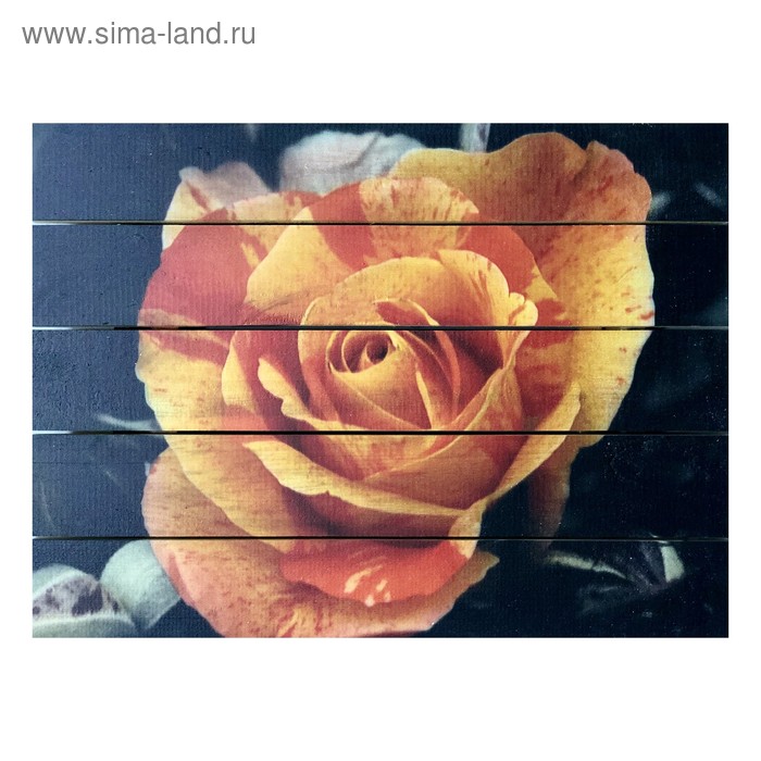 Картина для бани, тематика цветы "Оранжевая роза", МАССИВ, 40×30 см - Фото 1