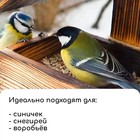 Kopмушка для птиц «Домик с птичкой», 24 × 19,5 × 17 см, Greengo - фото 8558676