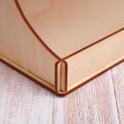 Kopмушка для птиц «Дерево», 18 × 16 × 15 см - Фото 5