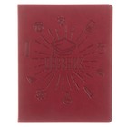 Премиум-дневник универсальный, для 1-11 класса Vivella "Школа", обложка искусственная кожа, бордовый - фото 318193956