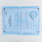 Папка для медицинского полиса «Мишка» 17.5×11.3 см - Фото 3