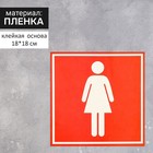 Наклейка указатель «Туалет женский» 18×18 см, цвет красный - фото 298181264