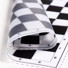 Шашки, настольная игра «Два пингвина», 24 шт., мягкое поле 29×29 см - Фото 4