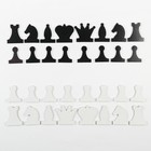 Набор магнитных фигур для демонстрационных шахмат, король h=6.3 см, пешка h=5.5 см - фото 5130671