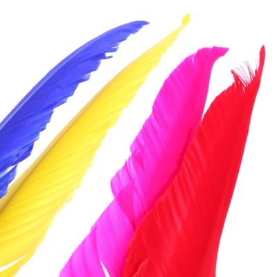 Ручка - прикол шариковая Calligrata «Перо», МИКС