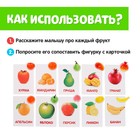 Обучающий набор по методике Г. Домана «Фрукты»: 10 карточек + 10 фруктов, счётный материал, МИКС - Фото 2