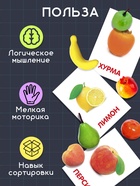 Обучающий набор по методике Г. Домана «Фрукты», 10 карточек, 10 фруктов, счётный материал, 3+, МИКС - Фото 5