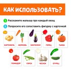 Обучающий набор по методике Г. Домана «Овощи»: 9 карточек + 9 овощей, счётный материал - Фото 2