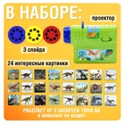 Проектор «Эра динозавров», 3 слайда, 24 картинки - Фото 3