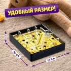 Настольная игра «Сырный лабиринт», пластиковое поле, 1 игрок, 3+ - Фото 5