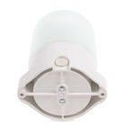 Светильник НББ 01-60-001 УХЛ1, E27, 60 Вт, 220 В, IP65, до +125°, белый - Фото 3