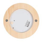 Светильник НБО 03-60-011 УХЛ3, Е27, 60 Вт, 220 В, IP54, до +130°, цвет клен - Фото 4