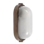 Светильник НБП 04-60-001 УХЛ1, Е27, 60 Вт, 220 В, IP54, до +130°, цвет бронза - Фото 1