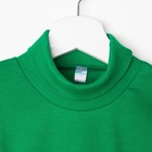 Водолазка для мальчика Green Panther, цвет зелёный, рост 110-116 см - Фото 2