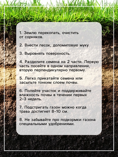 Газонная травосмесь «Гринкипер» «Северная», 5 кг