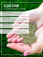 Газонная травосмесь «Гринкипер» «Игровая», 5 кг - Фото 2