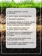 Газонная травосмесь «Теневыносливая», 5 кг 4383055 - фото 16443543