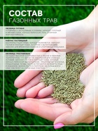 Газонная травосмесь «Гринкипер», «Зимостойкая», 1 кг - Фото 2