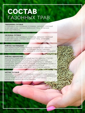 Газонная травосмесь «Игровая», 1 кг