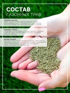 Газонная травосмесь «Универсальная», 1 кг - Фото 2