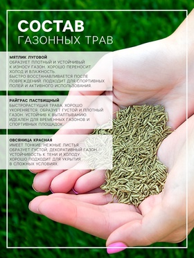 Газонная травосмесь «Низкорослая», 1 кг